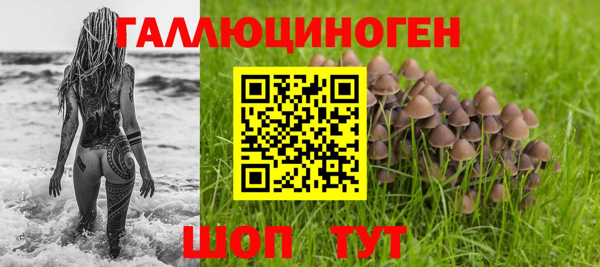 Галлюциногенные грибы прущие грибы Чапаевск